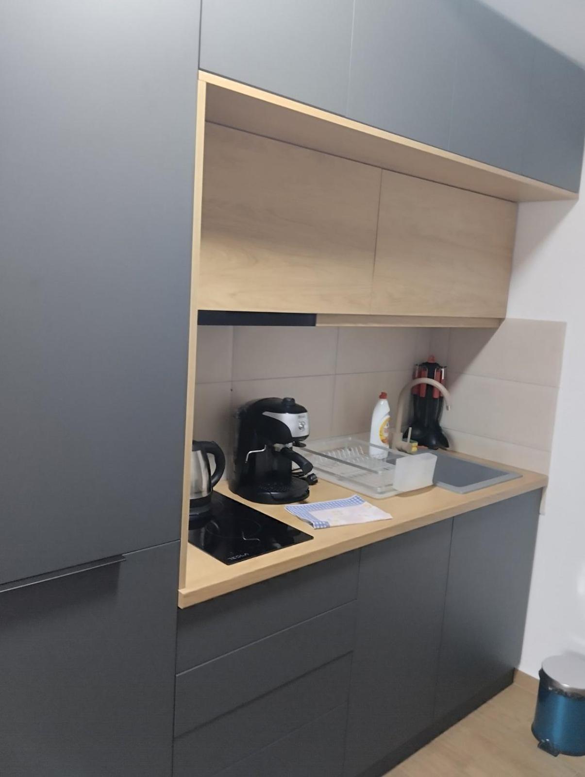 Lela Kop Apartment Копаоник Екстериор снимка